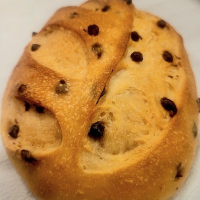 Chocolate Chip Cookie 