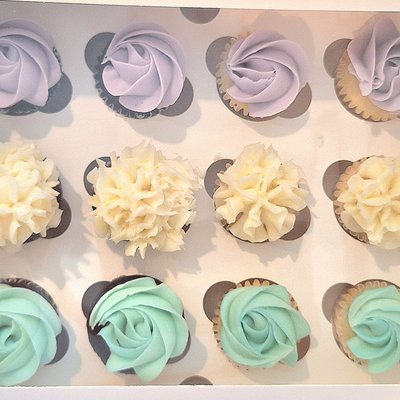 1 Dozen Mini Simple Cupcakes 