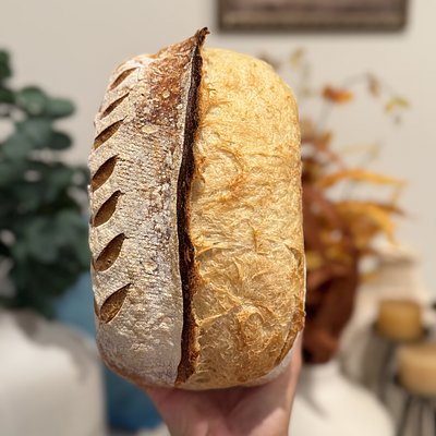 Artisan Sourdough 