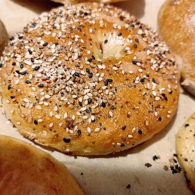 Everything Seasoning Bagel