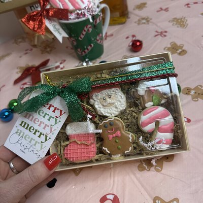 6 Mini XMAS Cookie Set✨