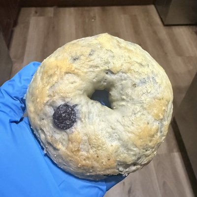 Blueberry Bagel