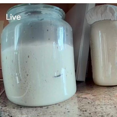 Live Active Starter, 50g