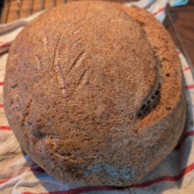 Classic Sourdough 
