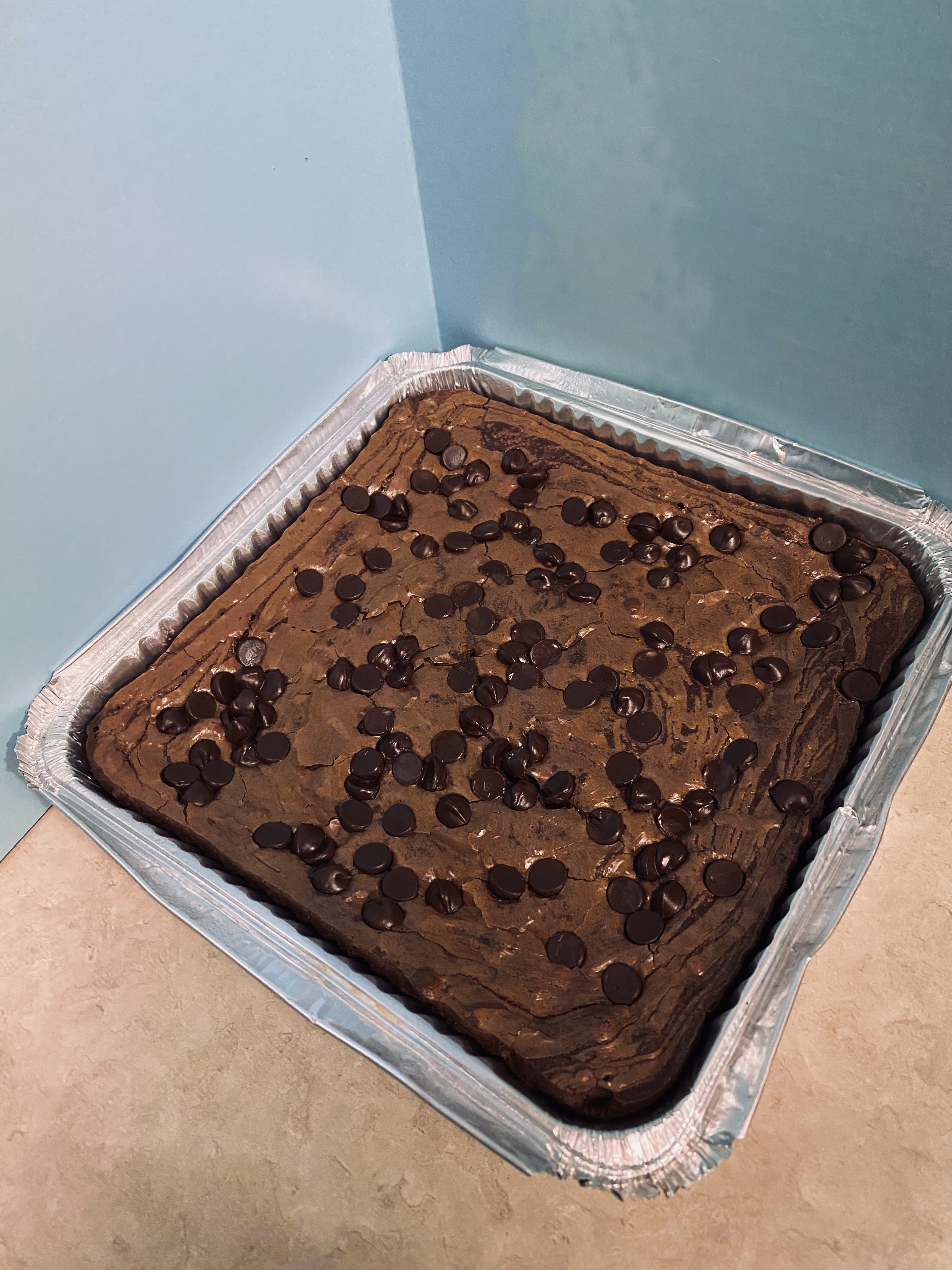 Double Fudge Brownies
