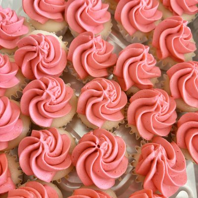 Mini Cupcakes