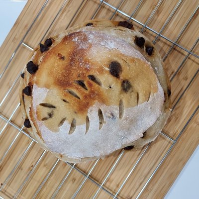 Chocolate Chip Sourdough 