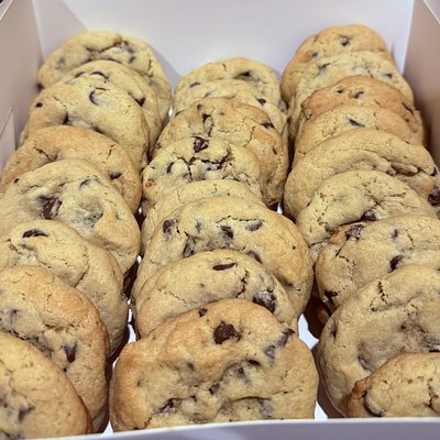 1 Dozen Chocolate Chip Cookies 