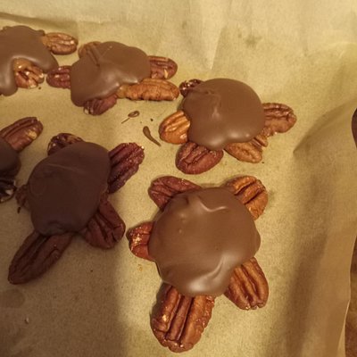Turtles 