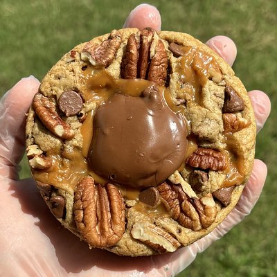 Stuffed Turtle Cookie