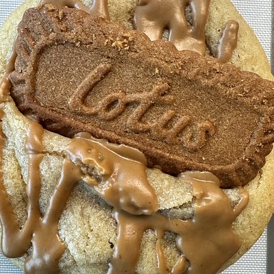 Cookie Butter Cookie 1/2 Dozen