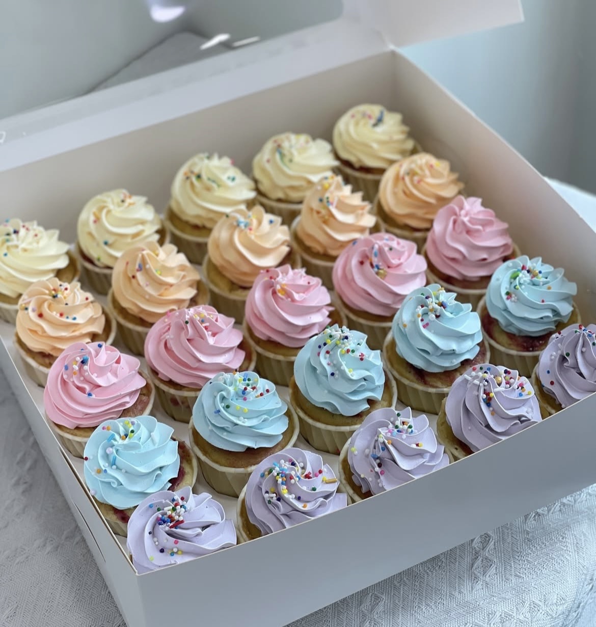  Dozen Cupcakes