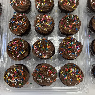 12 Ct Standard Cupcakes