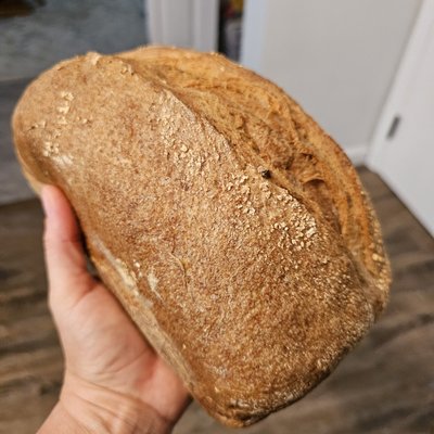 GF Sourdough