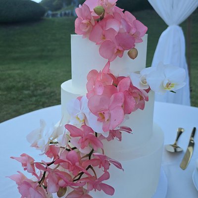 Wedding Cake and Other Treats 