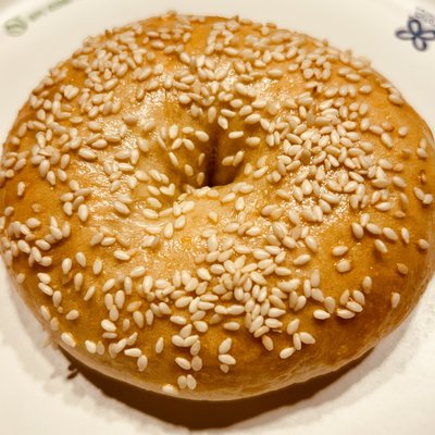 Sesame Seed Bagel