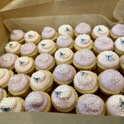 Mini Cupcakes 