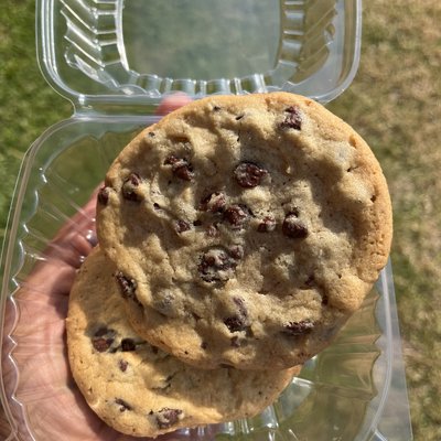 Chocolate Chip