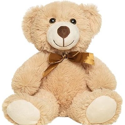 Beary Sweet Companion