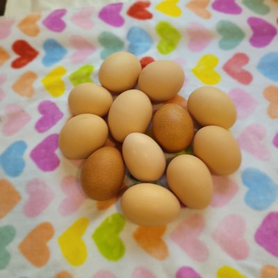 Farm fresh Eggs