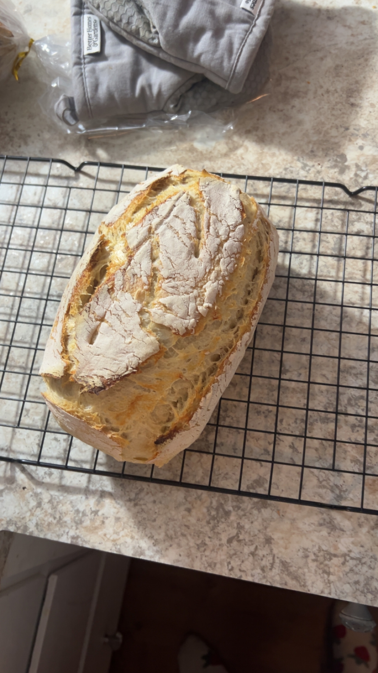 Sourdough 