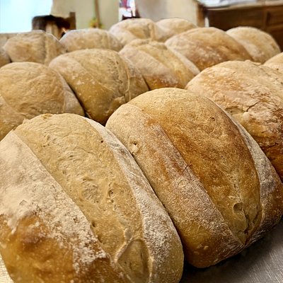 Plain Sourdough Loaf 