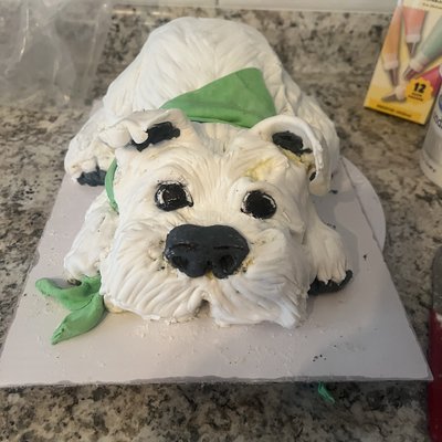 Sculpted Cakes! 
