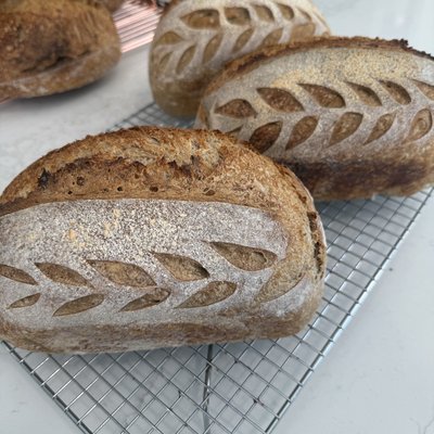 Whole Wheat  Sourdough Sandwich Loaf