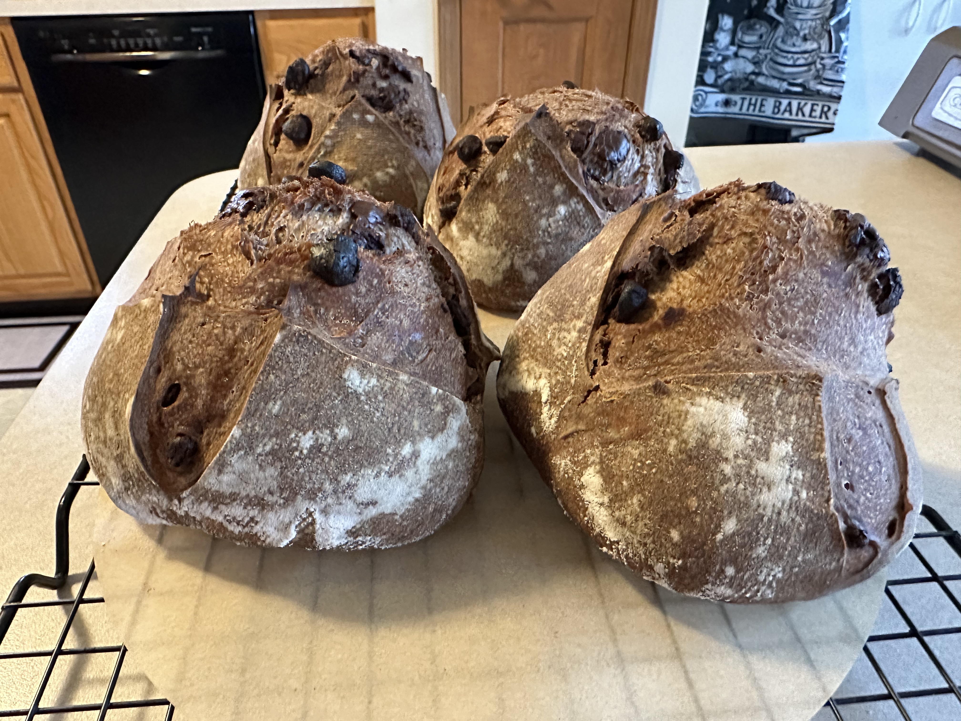Double Chocolate Sourdough Half Loaf