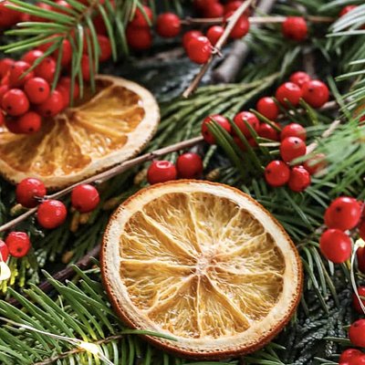 Folk Learning - Winter Hearth @ SWAGG 11/29/26 @1pm