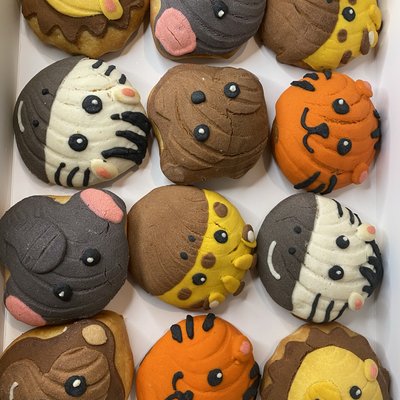 Safari Themed Mini Conchas 