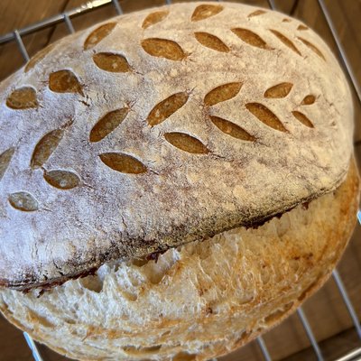 Plain Sourdough