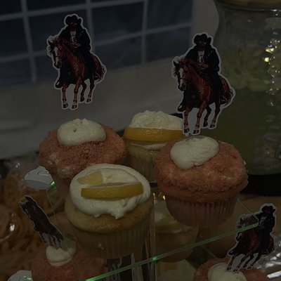 Cupcake Duo