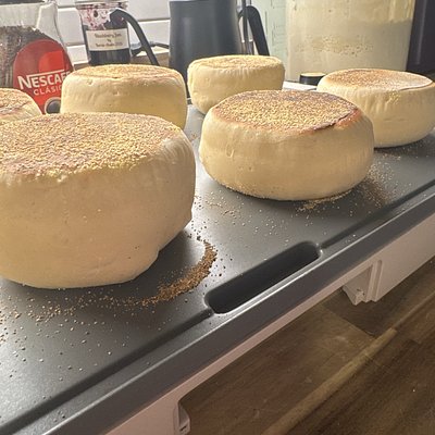 Sourdough English Muffins 12 Pack