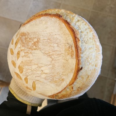 Sourdough