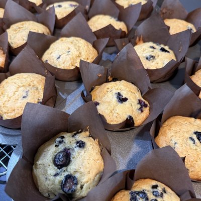 Sourdough Blueberry Muffins – Pack of 4