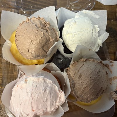 Cupcake Flight 
