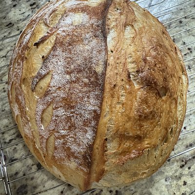 Italian Herb & Garlic Bule 
