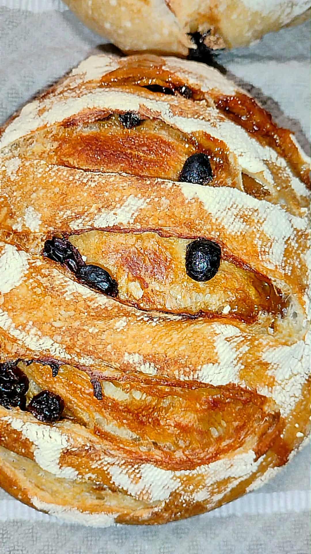 Large Raisin Cinnamon And Brown Sugar