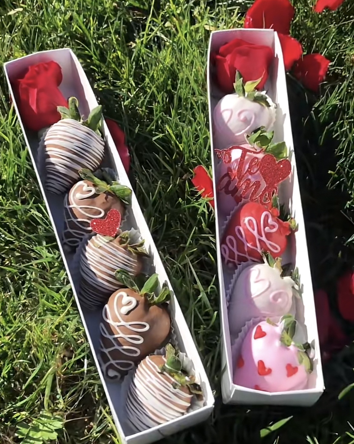 1 Rose 6 Berries 