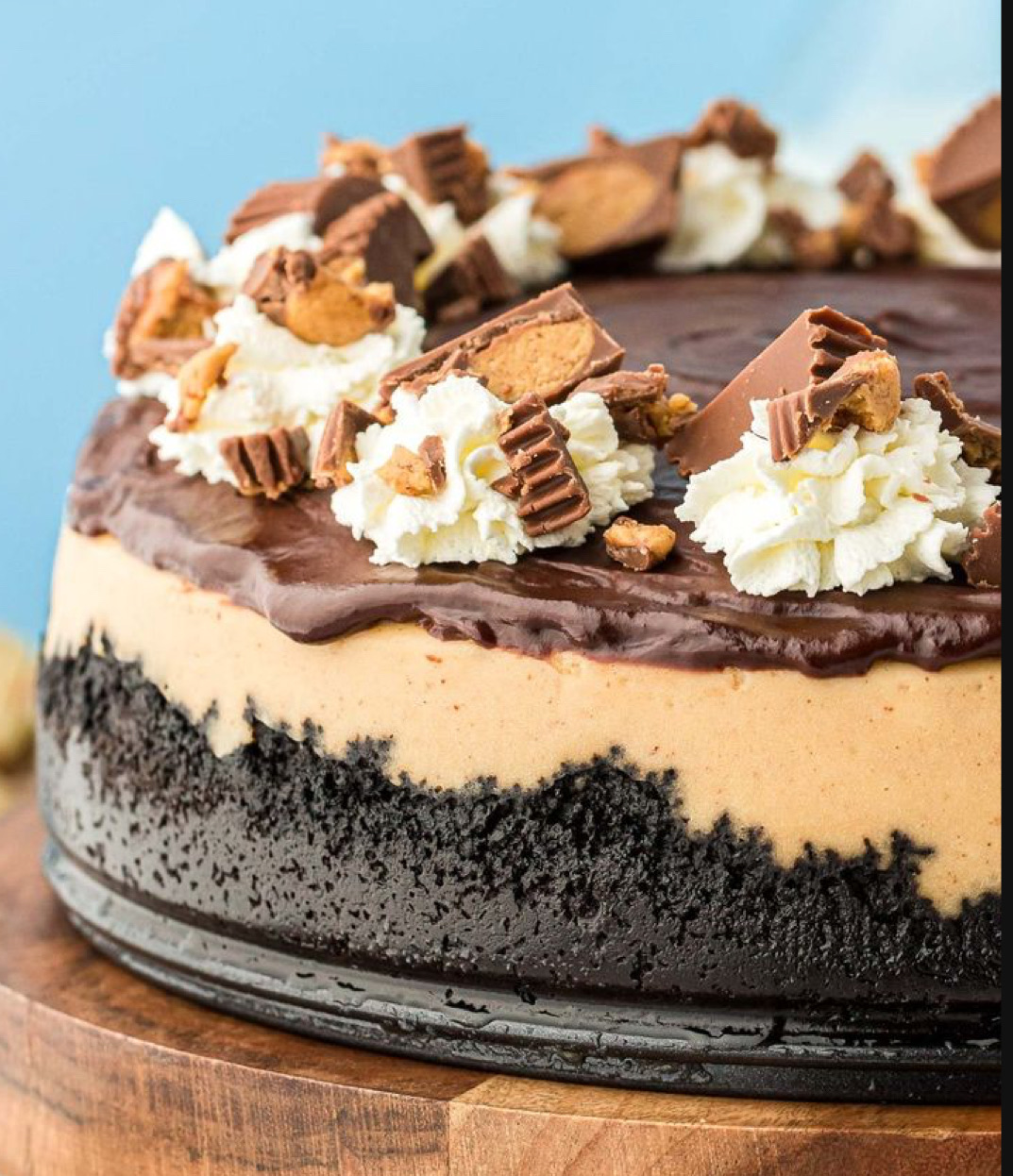 Chocolate Peanutbutter Cheesecake