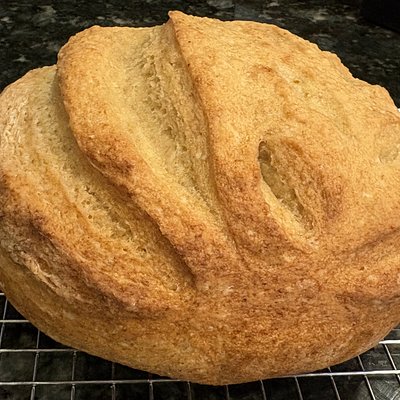 Gluten Free Sourdough Boule