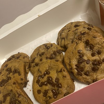 6 Count Chocolate Chip