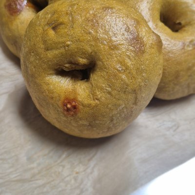 Pumpkin Spice Sourdough Bagels 