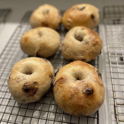 6 Blueberry Sourdough Bagels🥯