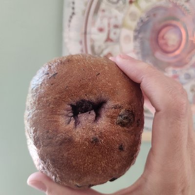 Blueberry Sourdough Bagels 