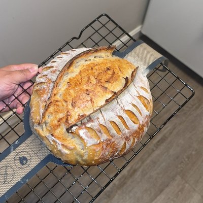 Plain Sourdough 