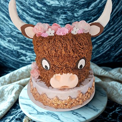 Highland Cow