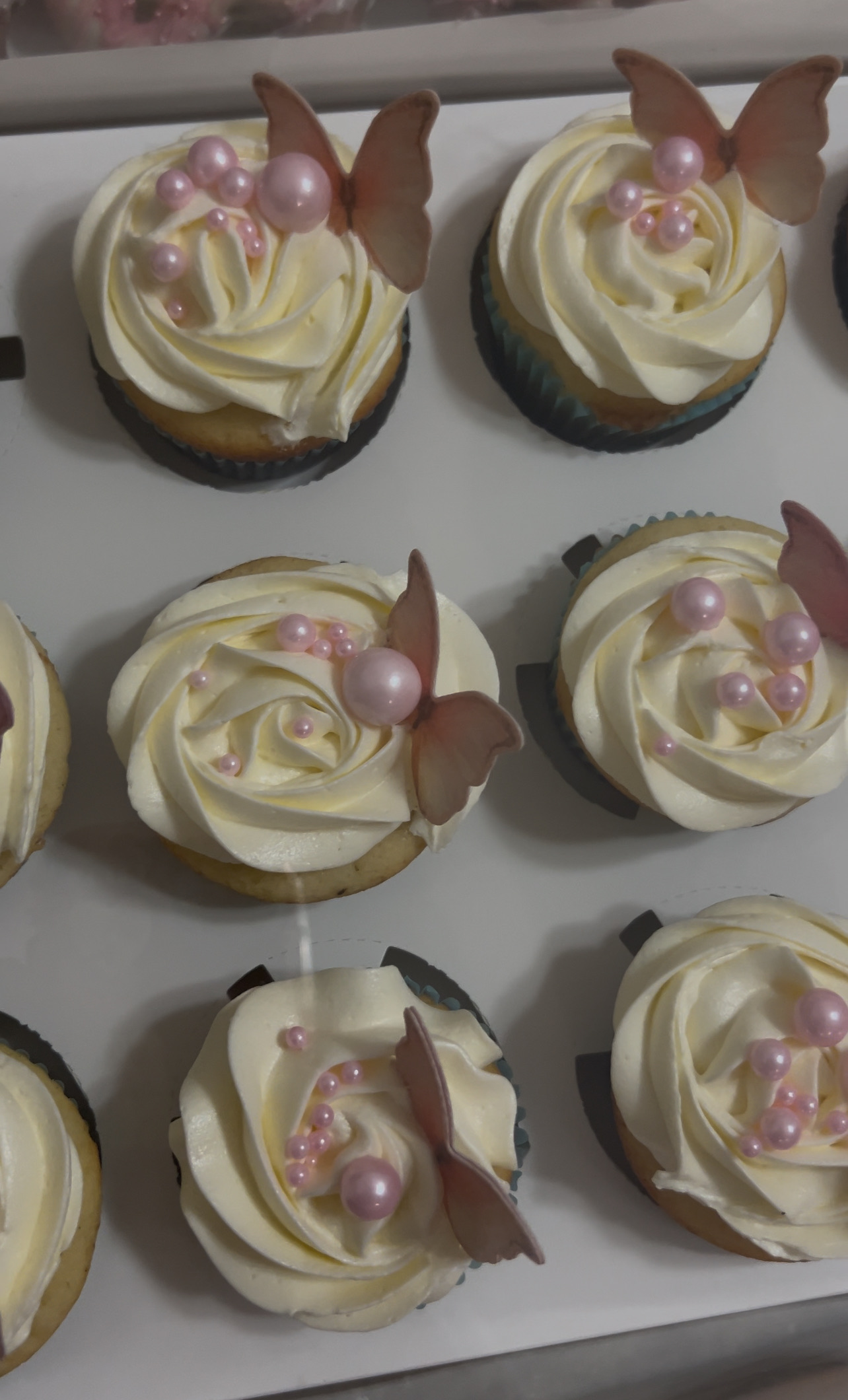 Cupcakes 
