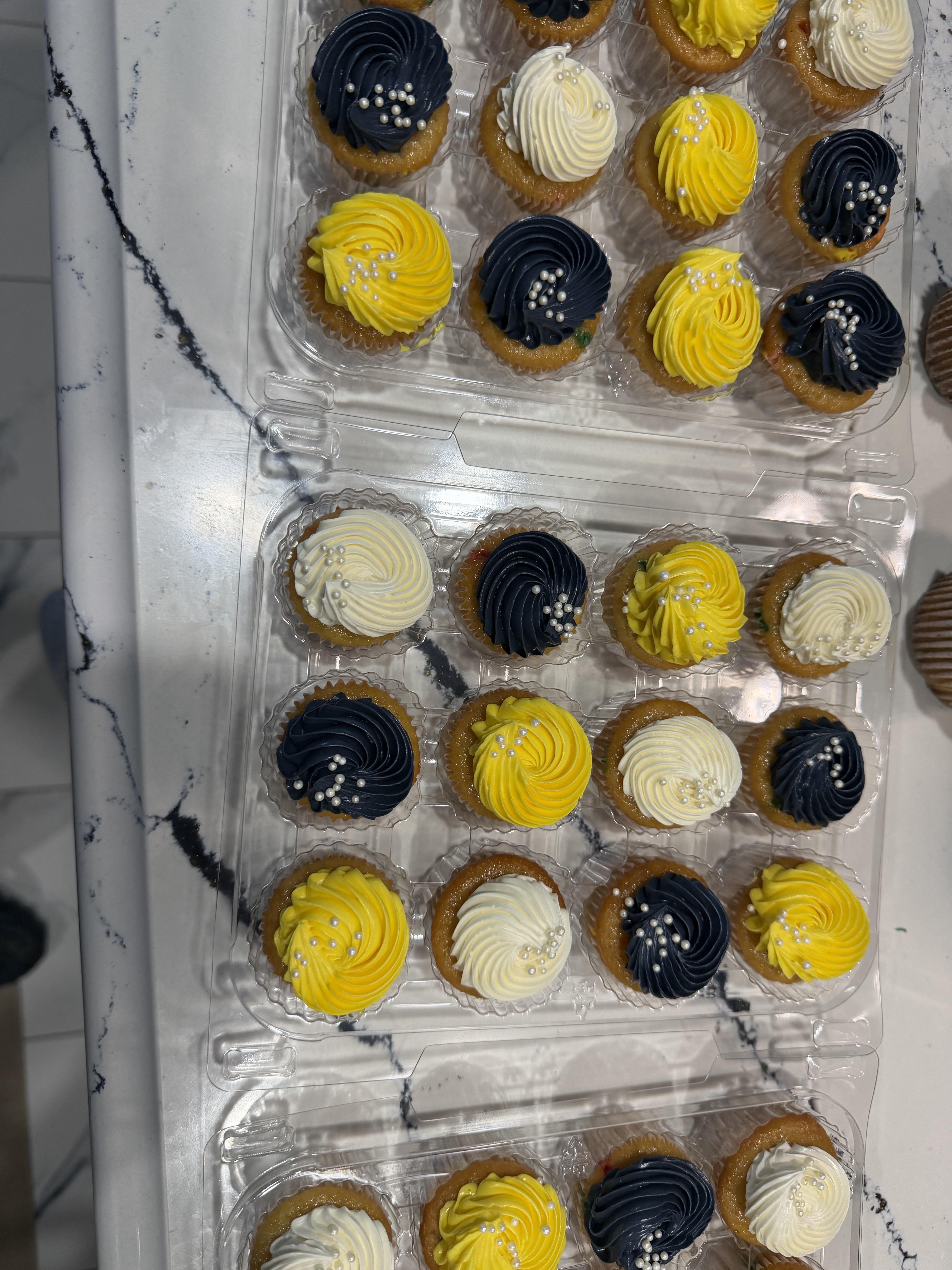 Mini Cupcakes